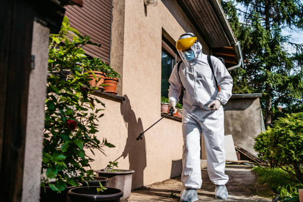 Best Rat Extermination Near Me  in Creve Coeur, MO