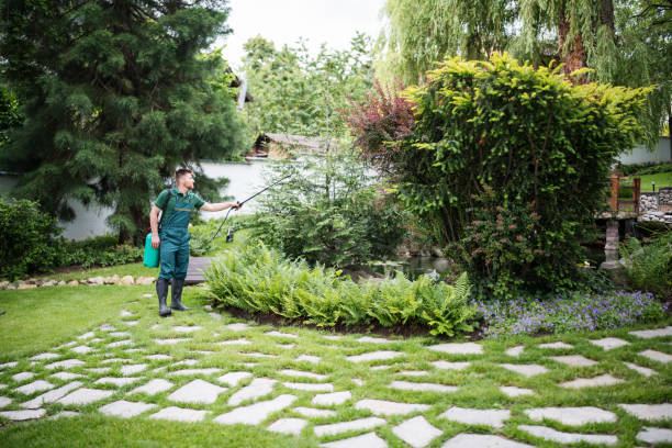 Best Affordable Pest Control Services  in Creve Coeur, MO