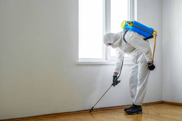Best Mosquito Control Services  in Creve Coeur, MO